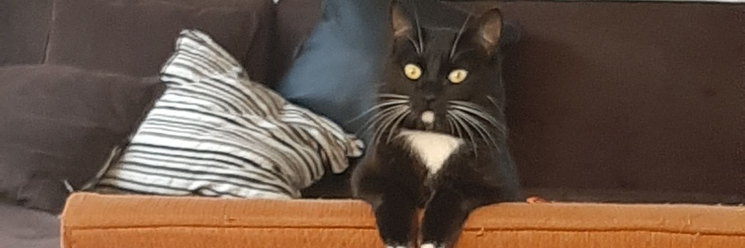 MatildaIgnaciah's profile banner image