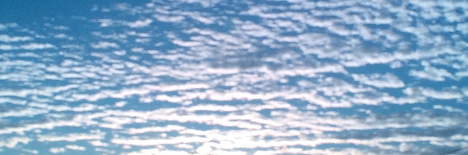 Beauty_Chaotic's profile banner image