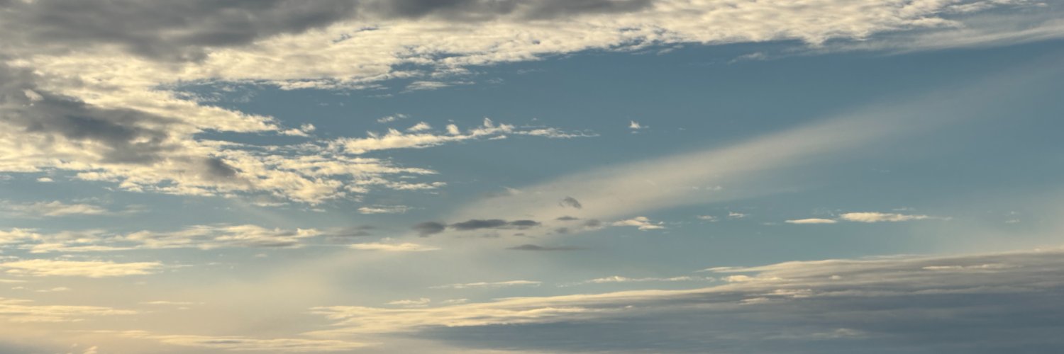 Arthur Edelstein ☮️🇵🇸 profile banner