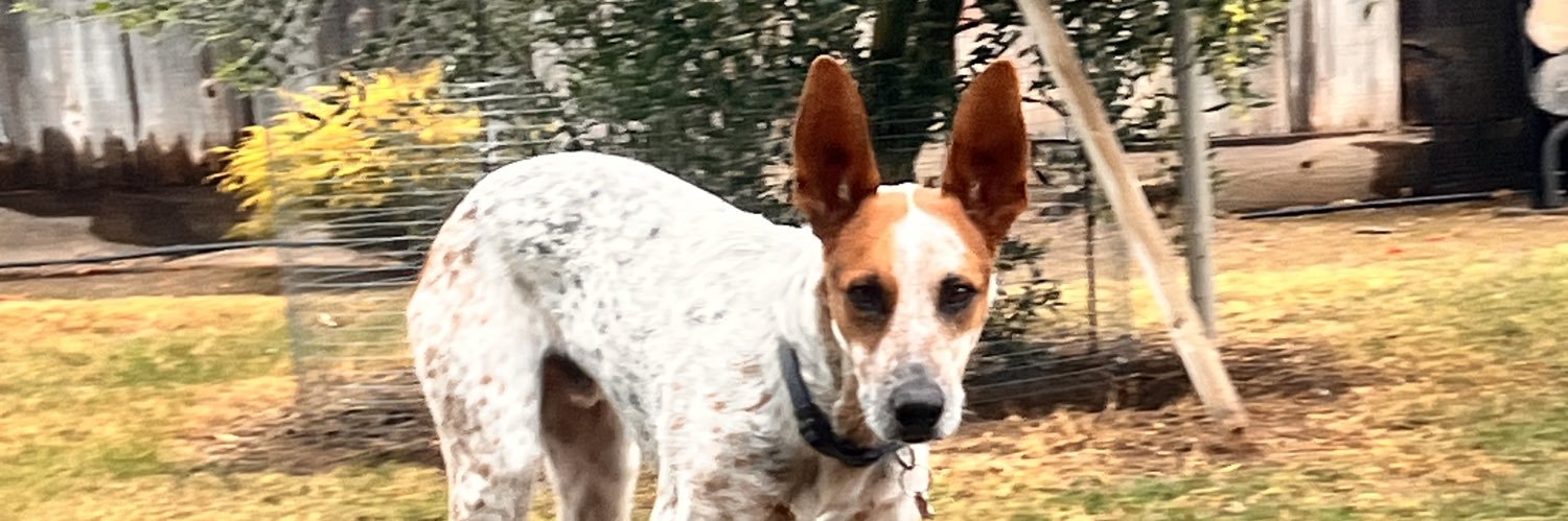 MargieReed14's profile banner image
