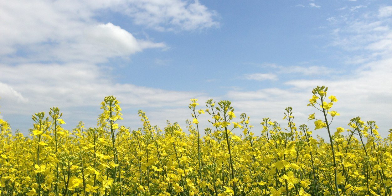 FarmerSexts's profile banner image