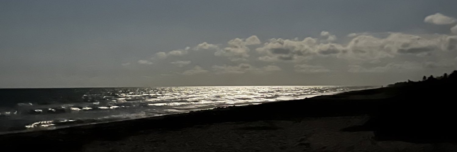 mc_da's profile banner image