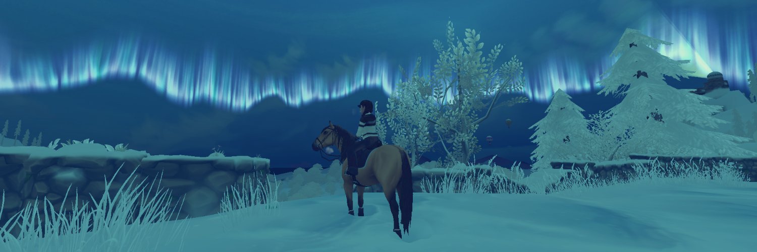 zicherka banner