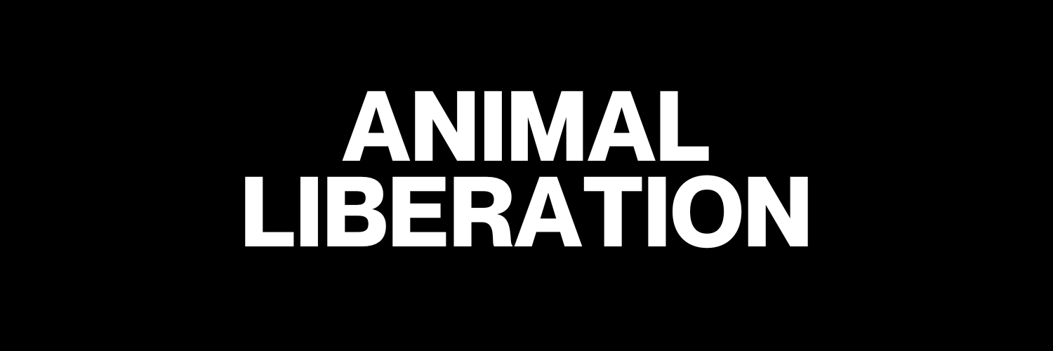 George Martin banner