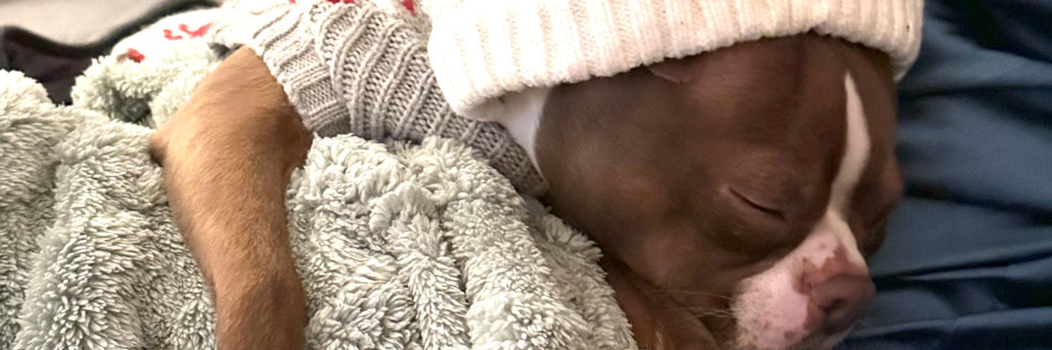 barbsbid's profile banner image