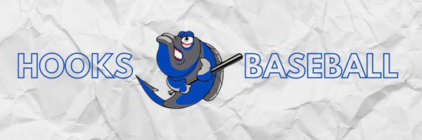 FTLHooks Profile Banner