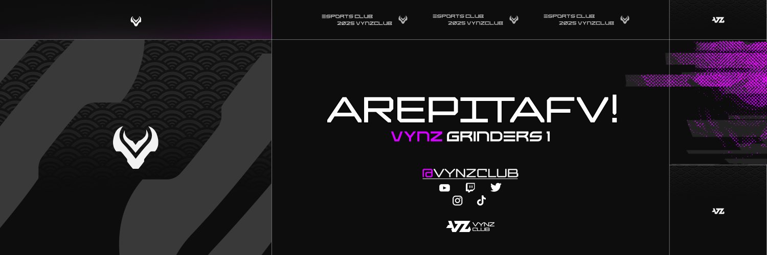 vynz arepichi banner