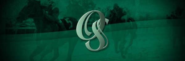 Ocala Stud banner