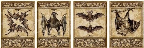 Revolving_Bat Profile Banner