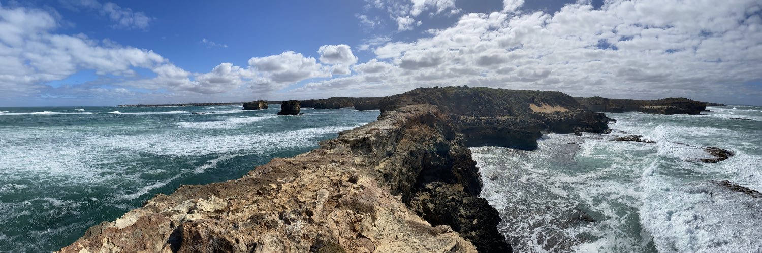 Niche Ops™️ banner