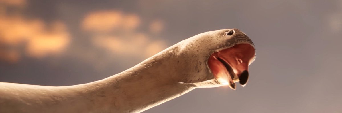 🌟알콩🌟 banner