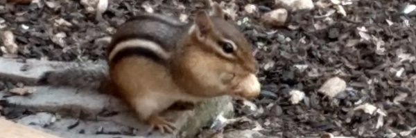 alienthing5186 Profile Banner