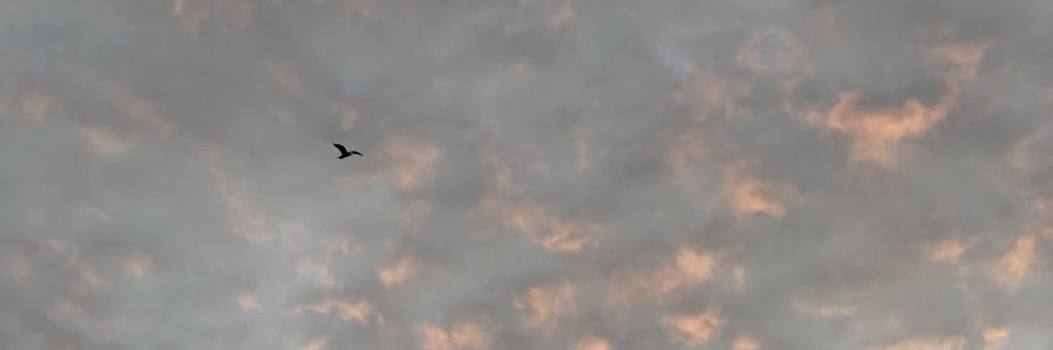 prasanthblog's profile banner image