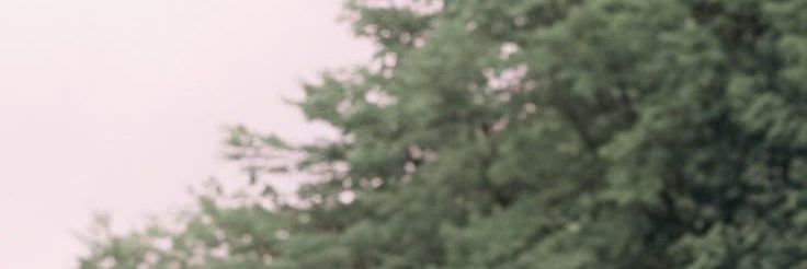 ༘♡ Dasha banner