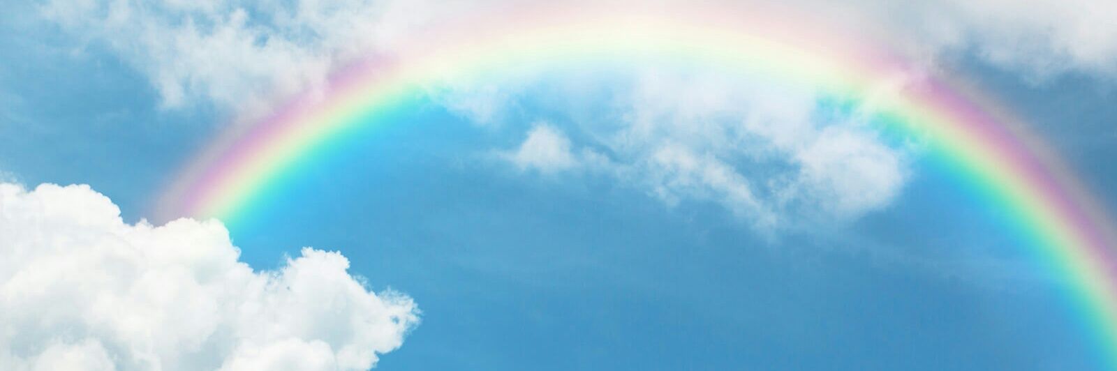 RP_2025's profile banner image