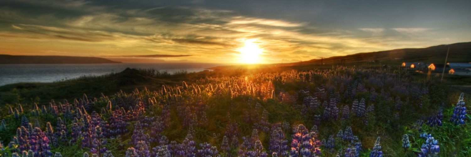 Texas Dad 🇺🇸✝️ banner