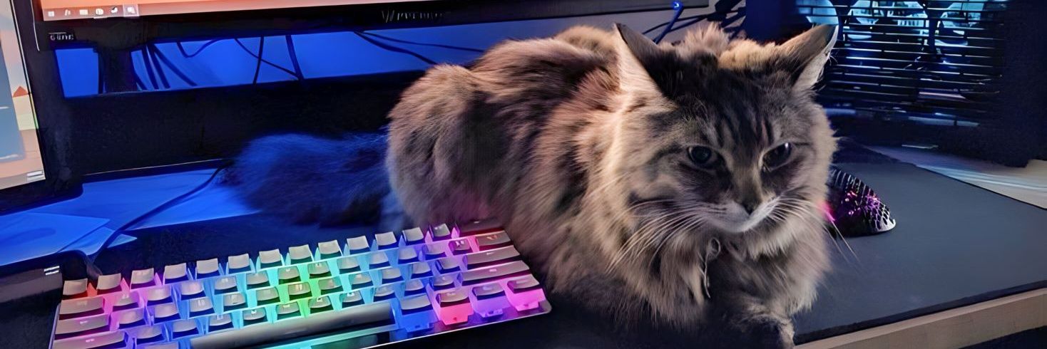 0xSoftware's profile banner image