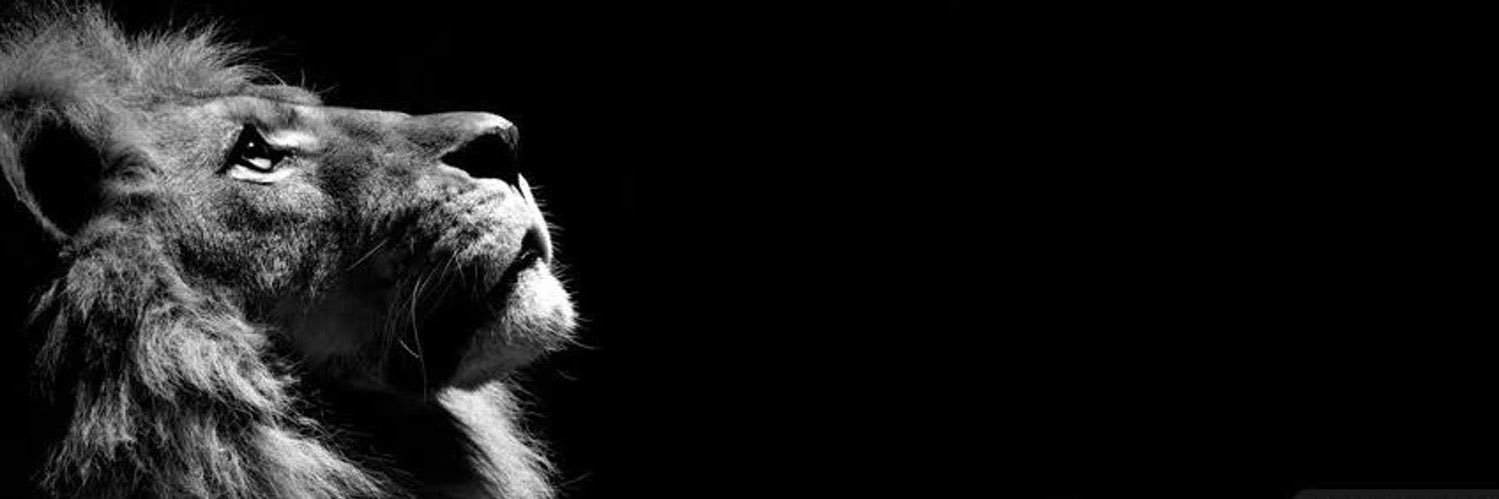 le0_nkingst's profile banner image