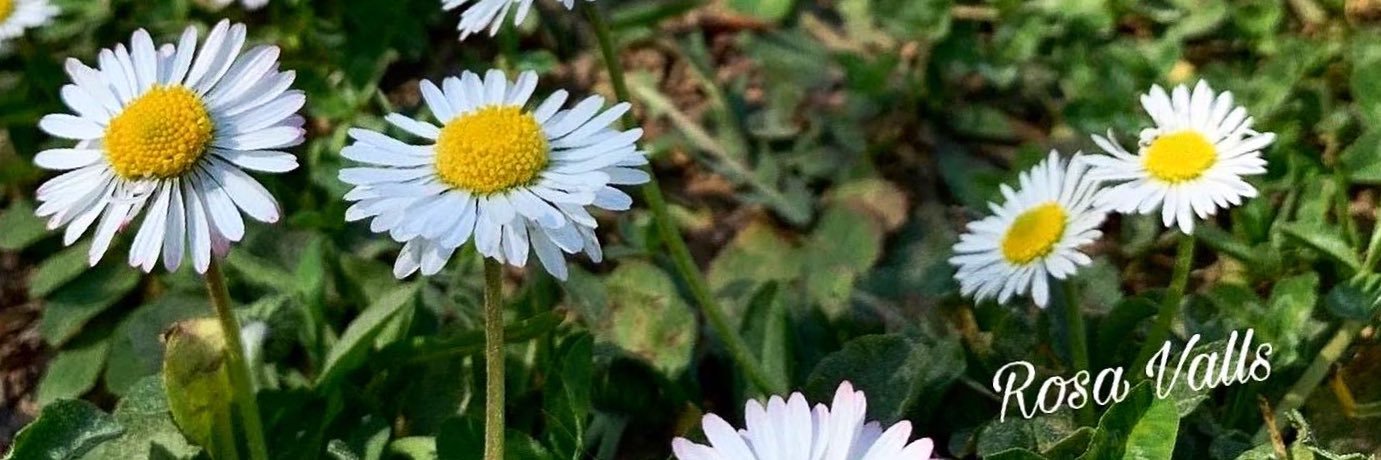 MRAAAI's profile banner image