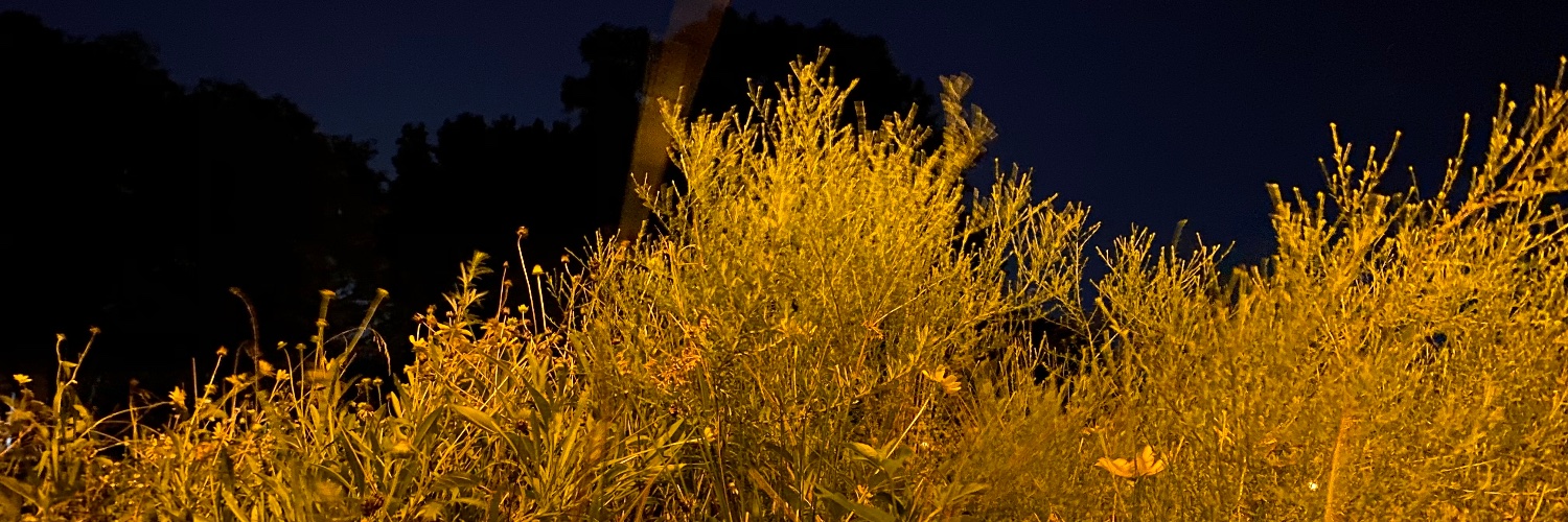 neilchambers's profile banner image