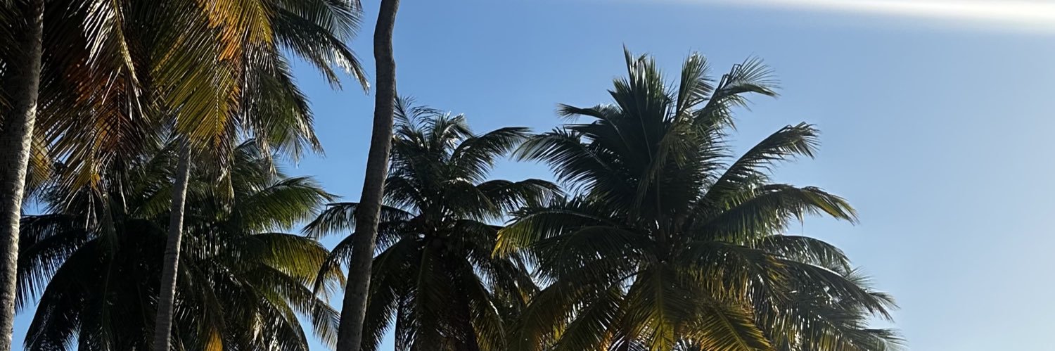 kpm__'s profile banner image