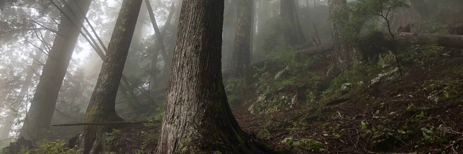 johneedutton's profile banner image