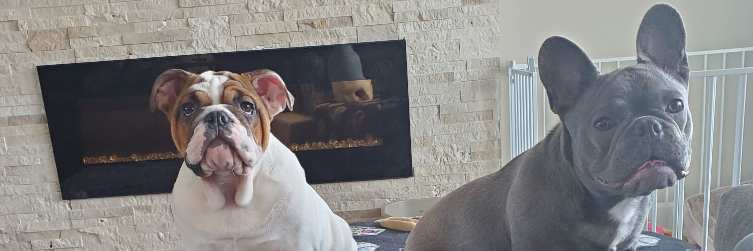 mizmackc's profile banner image