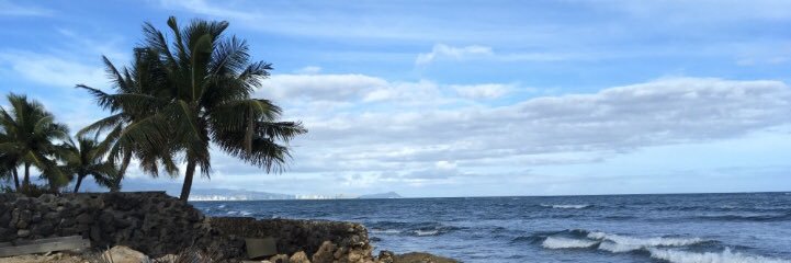 Paliana122's profile banner image