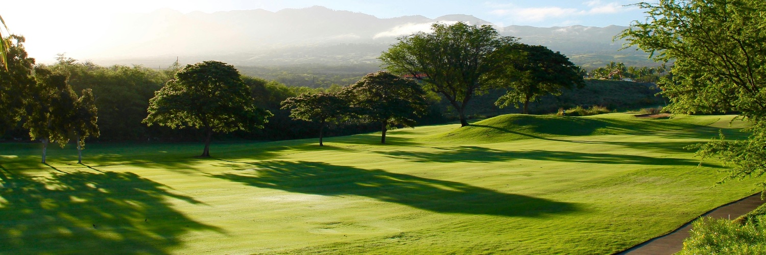 GolfGuy113's profile banner image
