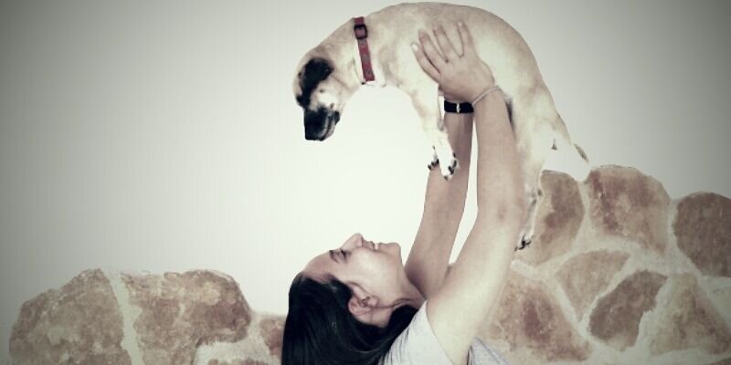 NeusJAX98's profile banner image