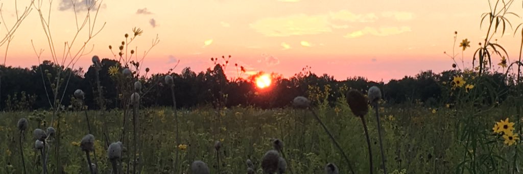 6loriann9's profile banner image