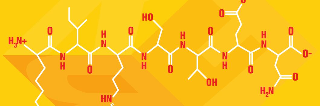 Kirsten Block, PhD (she/her) banner