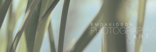emies Profile Banner