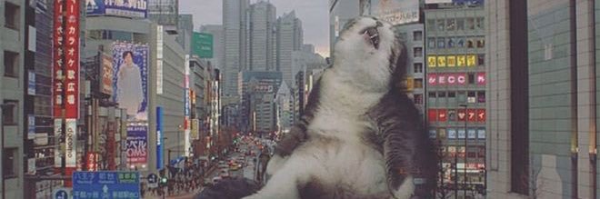 27oday ☀️ banner