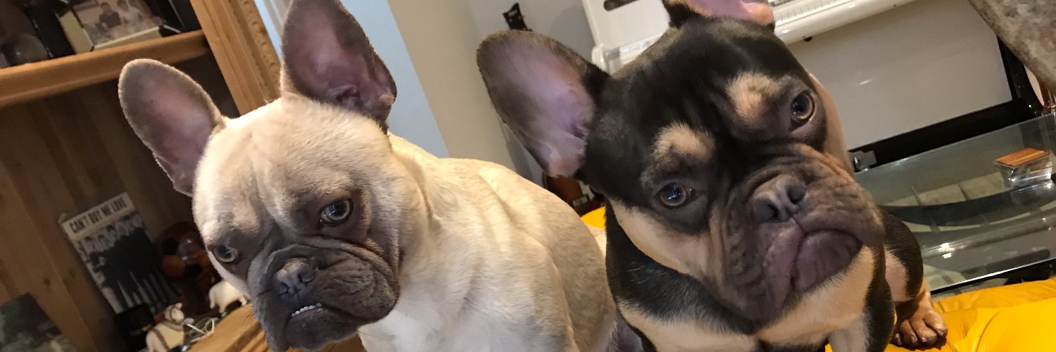 darrylbythepool's profile banner image