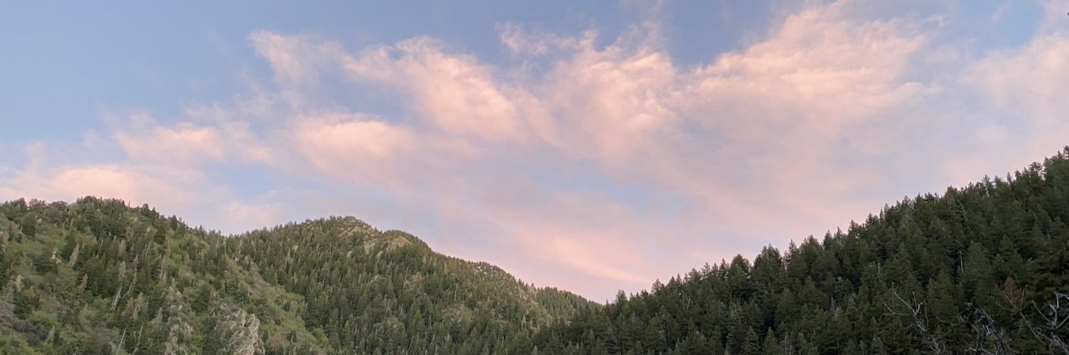 lindsdunc's profile banner image