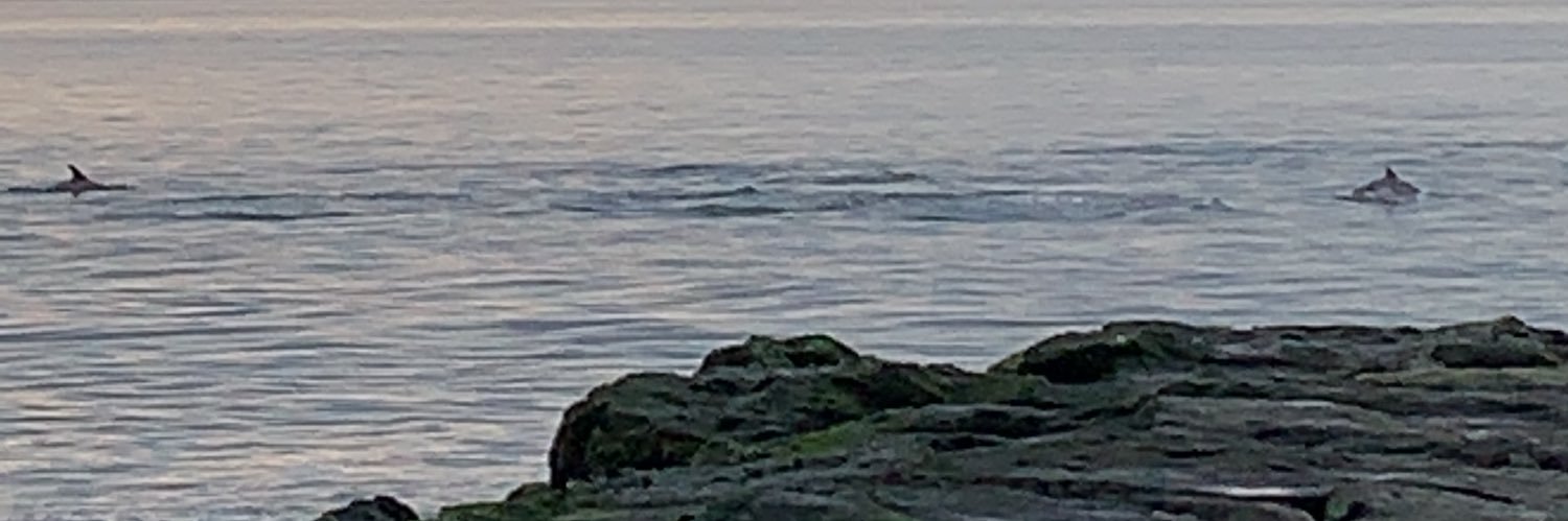 ALittleWrath's profile banner image