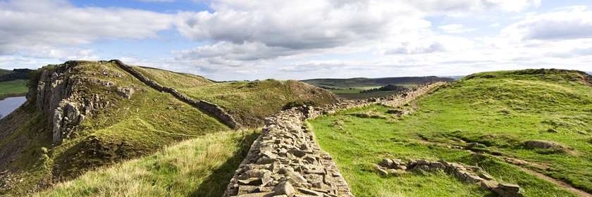 Dr Dominique Bouchard banner