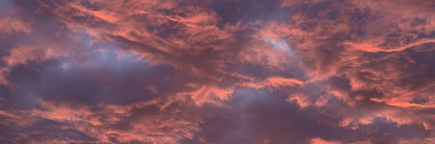luisaaleman's profile banner image