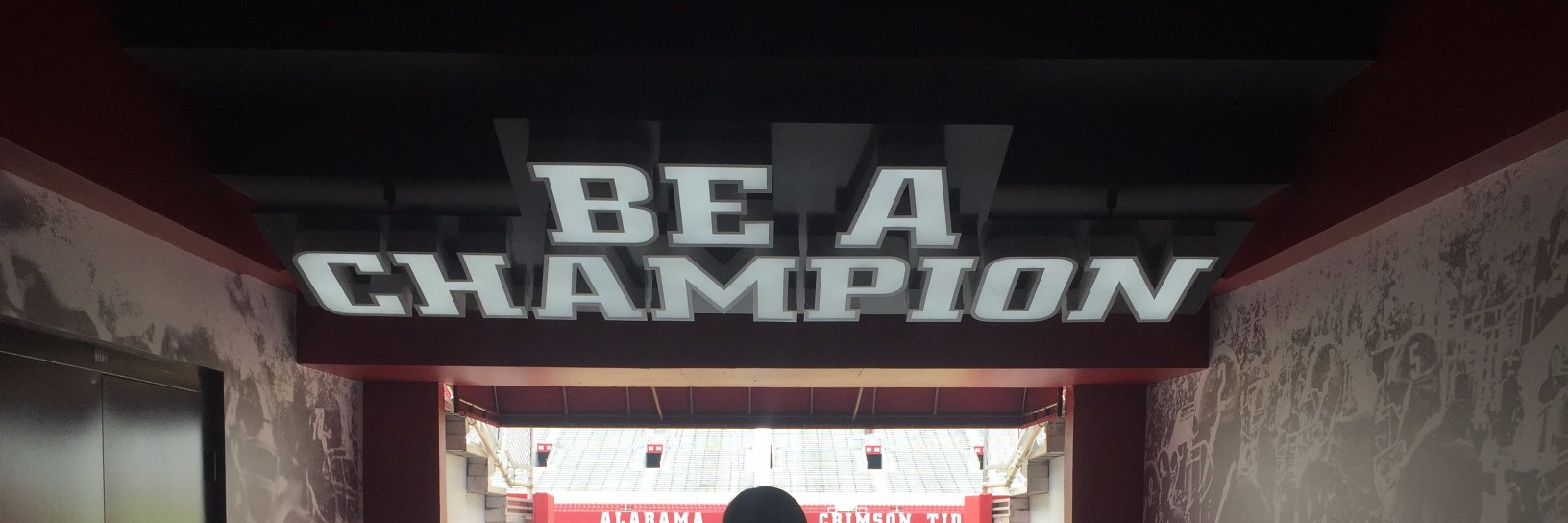 Kayla Bennett Venezia banner