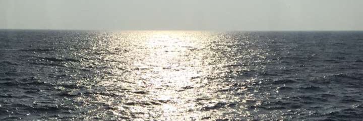 beesh_1419's profile banner image