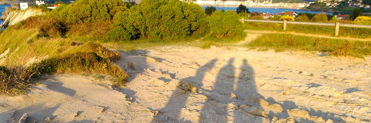 boteroBET's profile banner image