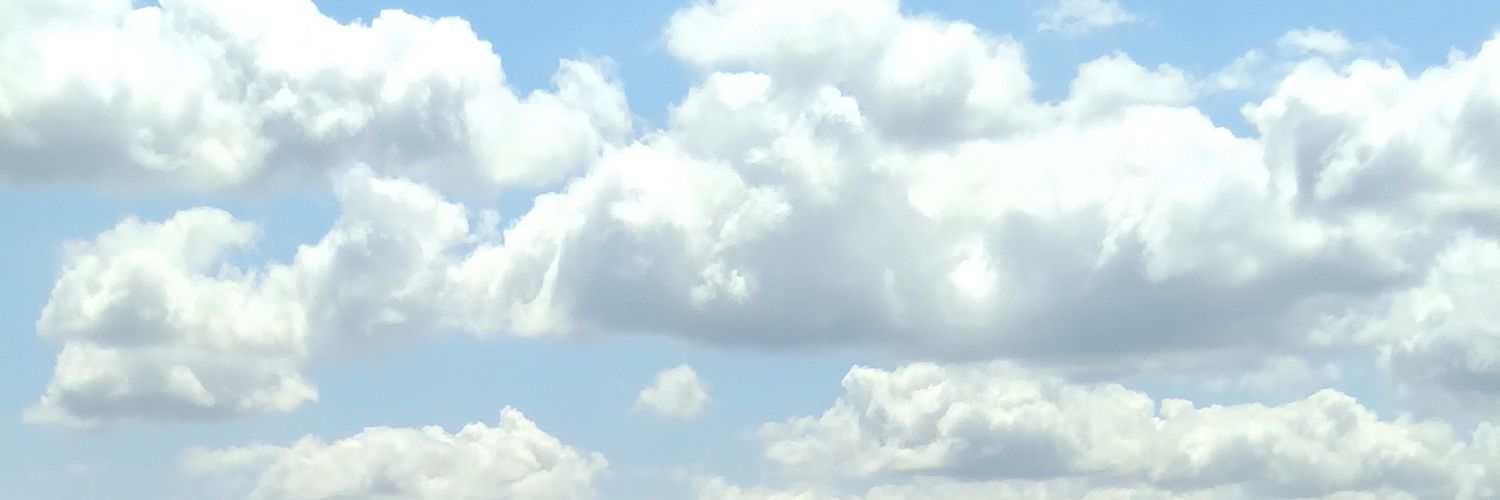 ericalefare's profile banner image