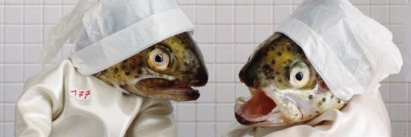 FishHeadsSports Profile Banner