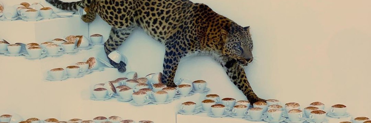 keshruiz's profile banner image