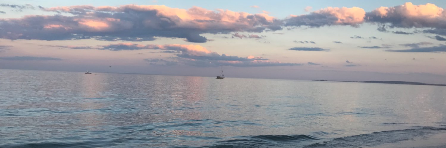 Prettypeachylife banner