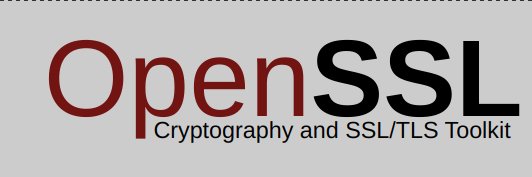OpenSSL Project banner