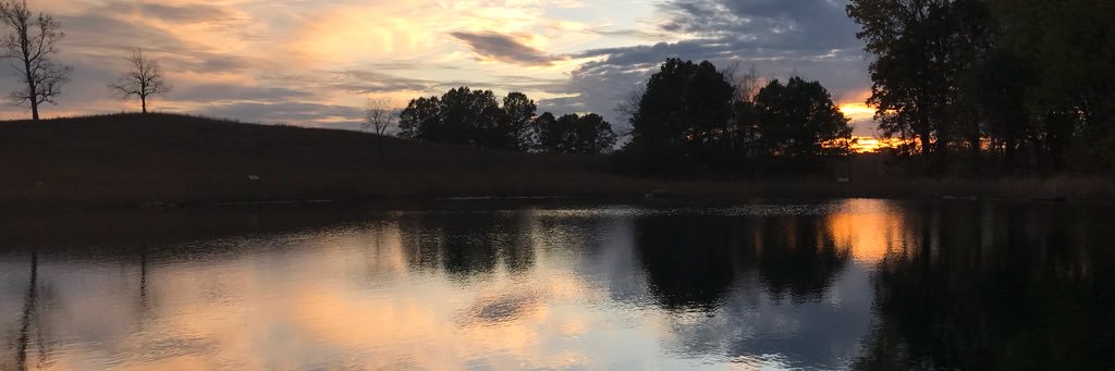 leighacgreen's profile banner image