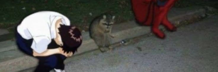 Felipe Menecucci banner