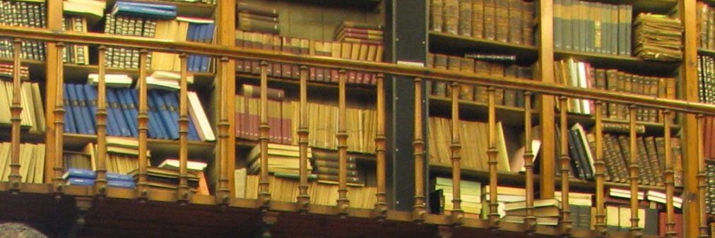 Necati Alkan, he/his banner